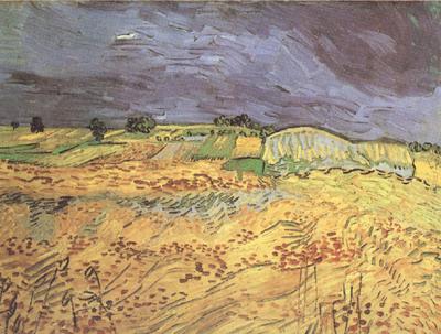 Vincent Van Gogh The Fields (nn04) Norge oil painting art